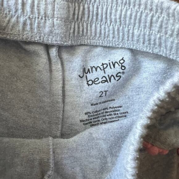 Toddler Girl Summer Shorts Bundle Primary, Hanna Andersson, Jumping Beans 2T - Picture 4 of 5